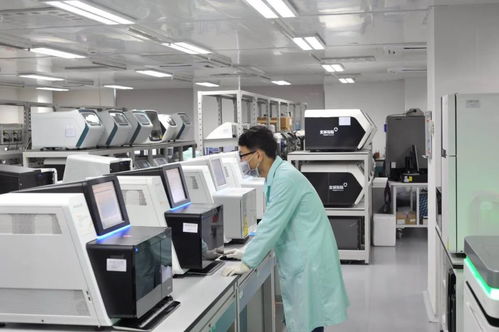 清明節(jié)放假安排來啦 新冠病毒疫苗即將進(jìn)入動(dòng)物攻毒保護(hù)試驗(yàn)